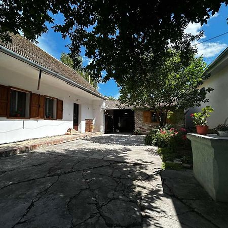 Oaza Mira Porodicna Kuca Za Opustanje Villa Apatin Exterior foto