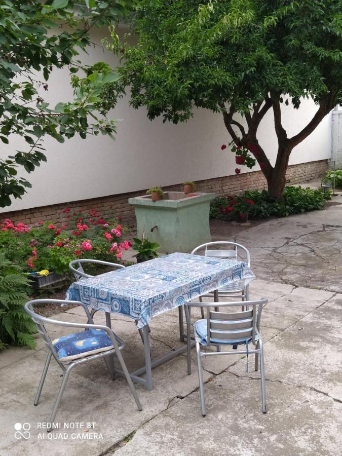 Oaza Mira Porodicna Kuca Za Opustanje Villa Apatin Exterior foto